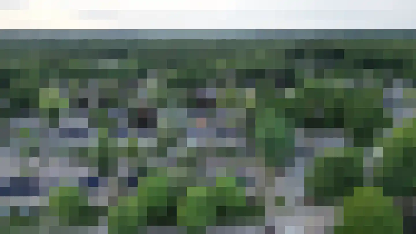 Driespronglaan 29 Maarn thumbnail 39