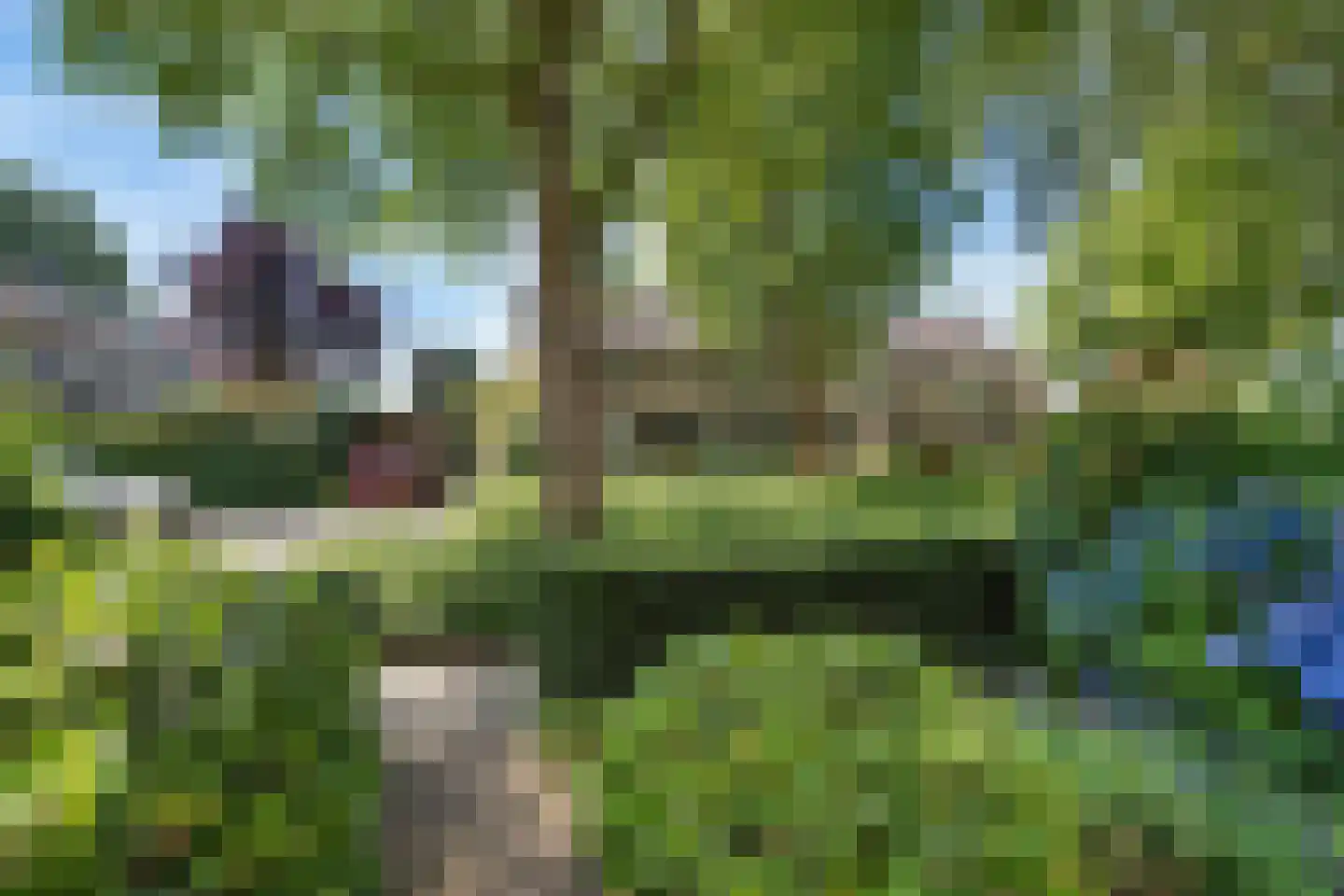 Driespronglaan 29 Maarn thumbnail 7