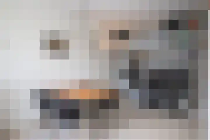 Driespronglaan 4 Maarn thumbnail 10