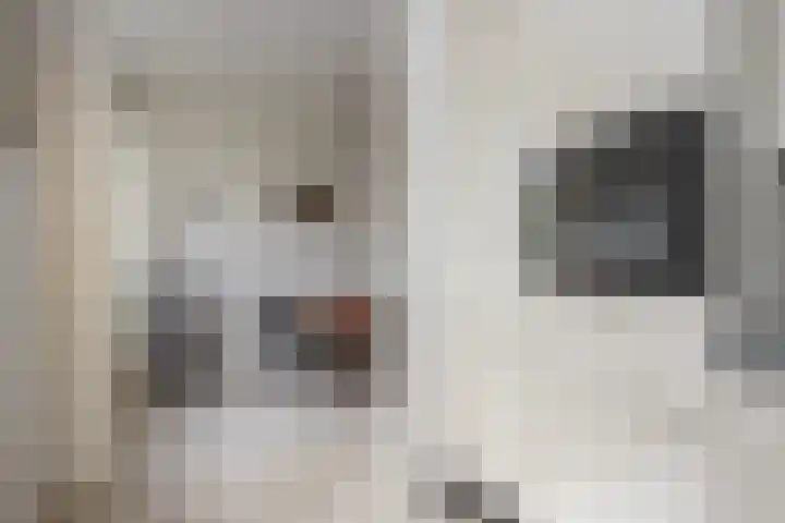Driespronglaan 4 Maarn thumbnail 12