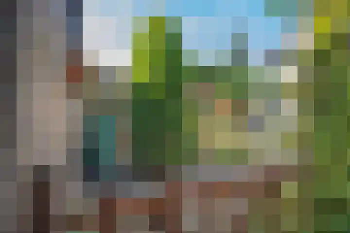 Driespronglaan 4 Maarn thumbnail 24