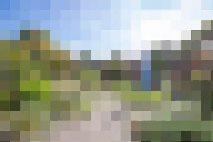 Driespronglaan 4 Maarn thumbnail 26