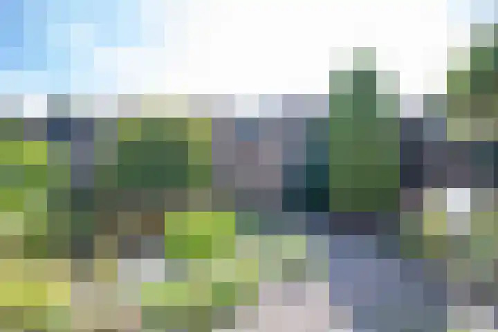 Driespronglaan 4 Maarn thumbnail 28