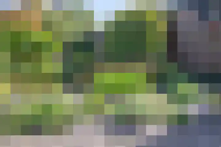 Driespronglaan 4 Maarn thumbnail 29