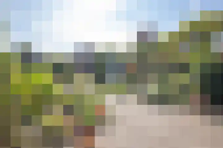 Driespronglaan 4 Maarn thumbnail 4