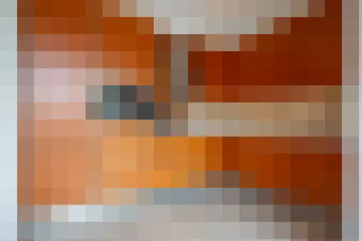 Driespronglaan 6 Maarn thumbnail 11