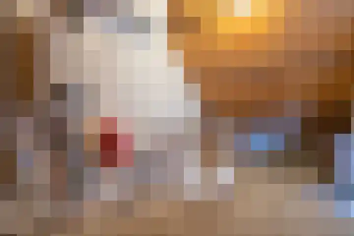 Driespronglaan 6 Maarn thumbnail 23