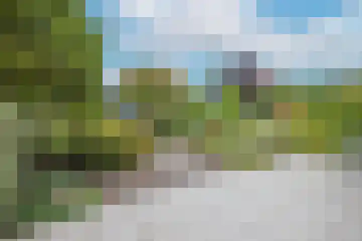 Driespronglaan 6 Maarn thumbnail 26
