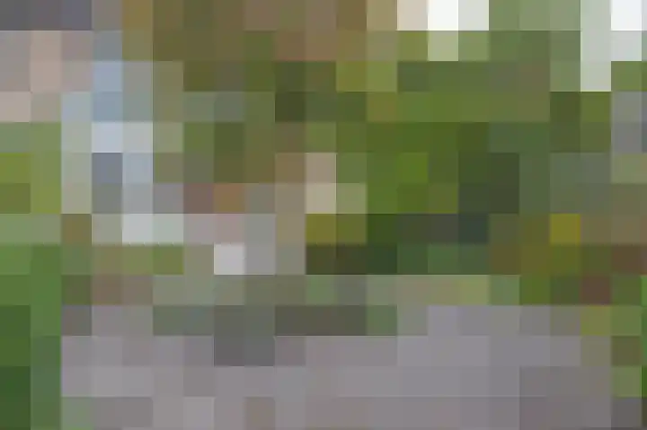 Driespronglaan 6 Maarn thumbnail 32