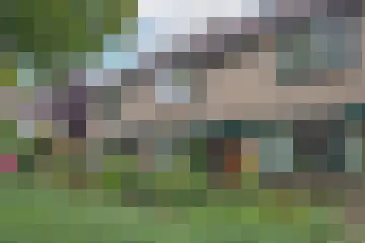 Driespronglaan 6 Maarn thumbnail 33