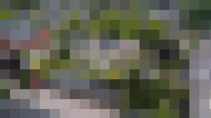 Driespronglaan 6 Maarn thumbnail 34