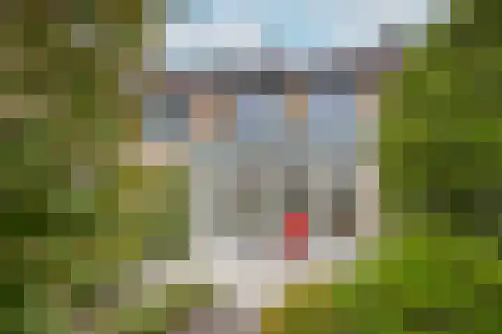 Driespronglaan 6 Maarn thumbnail 4
