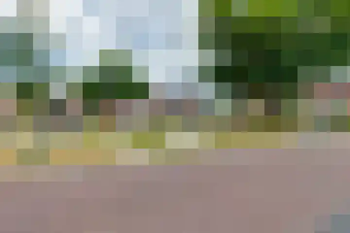 Driessenshof 46 Aalten thumbnail 20