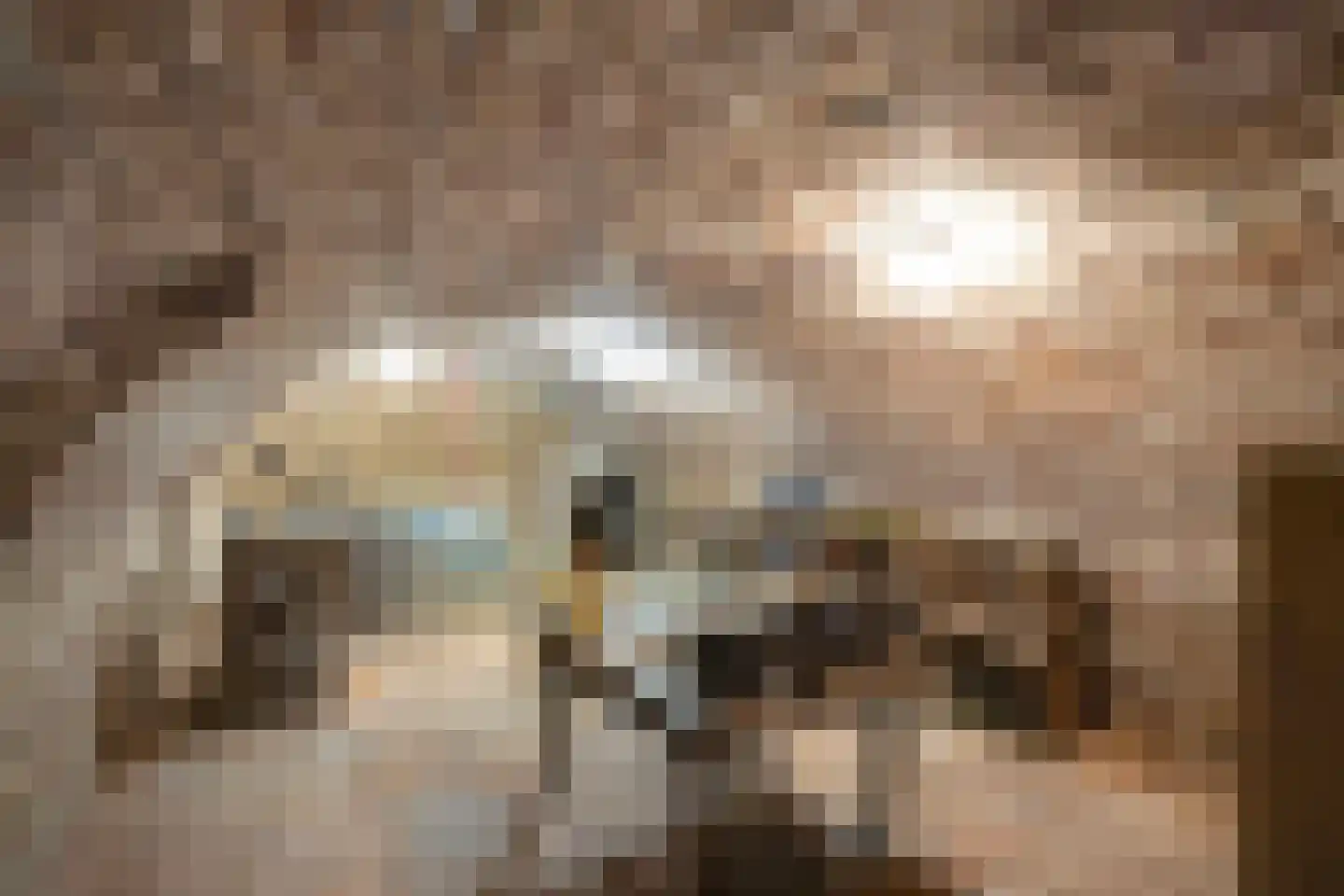 Driessensstraat 30 Neeritter thumbnail 27