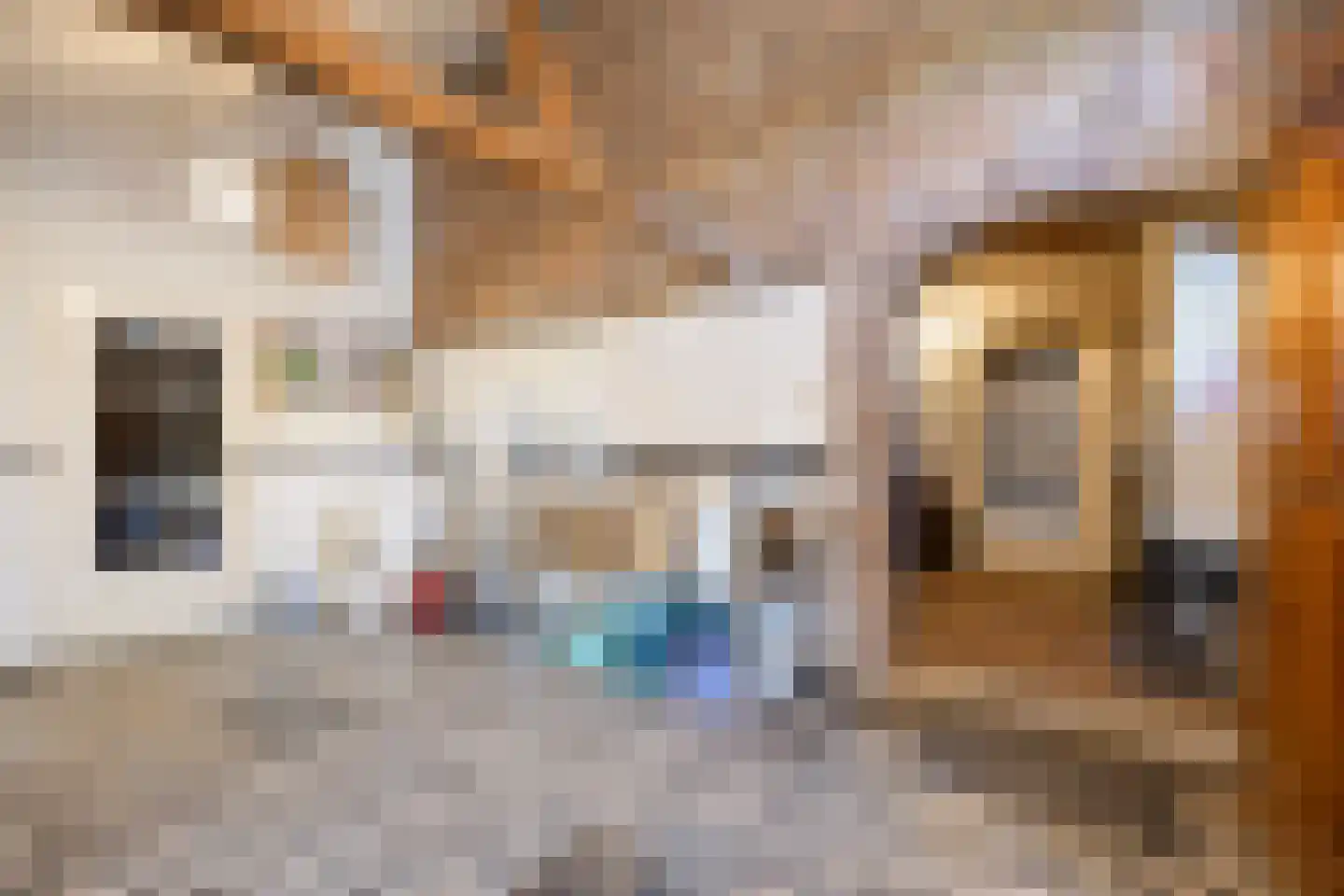 Driessensstraat 30 Neeritter thumbnail 31