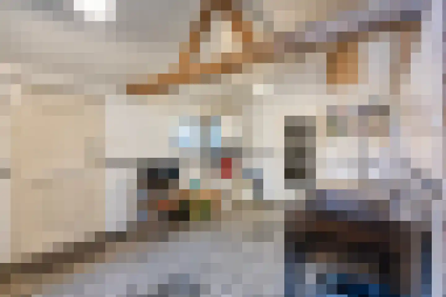 Driessensstraat 30 Neeritter thumbnail 32