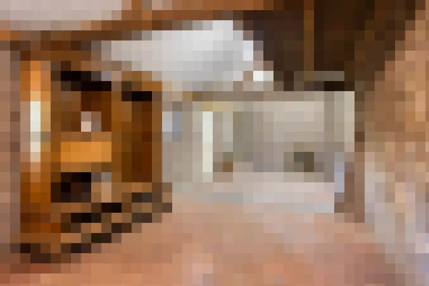 Driessensstraat 30 Neeritter thumbnail 37
