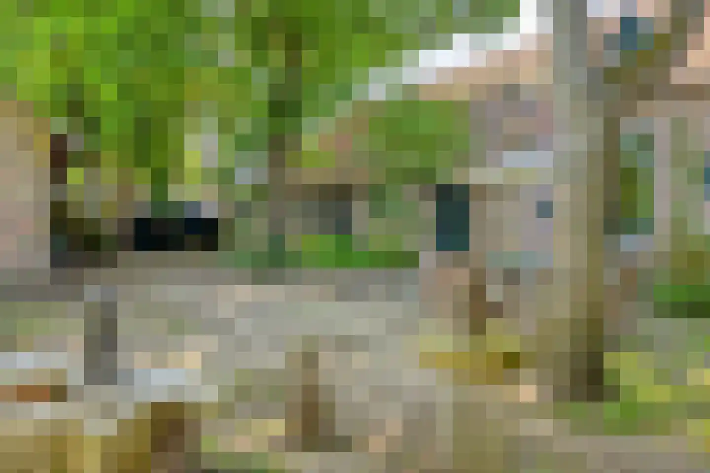 Driessensstraat 30 Neeritter thumbnail 4