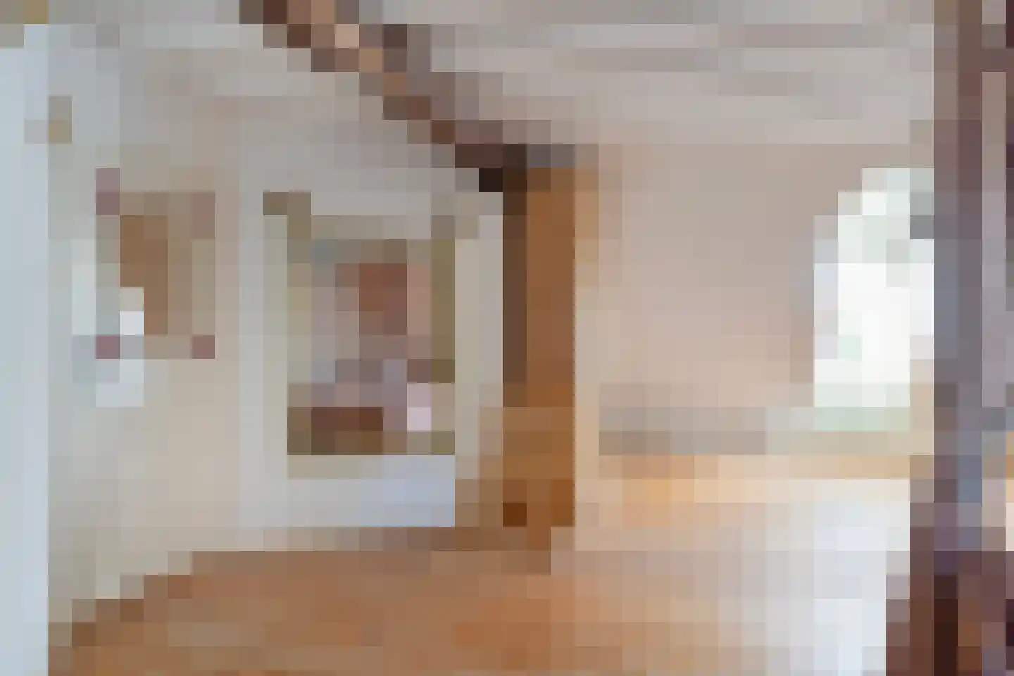 Driessensstraat 30 Neeritter thumbnail 46