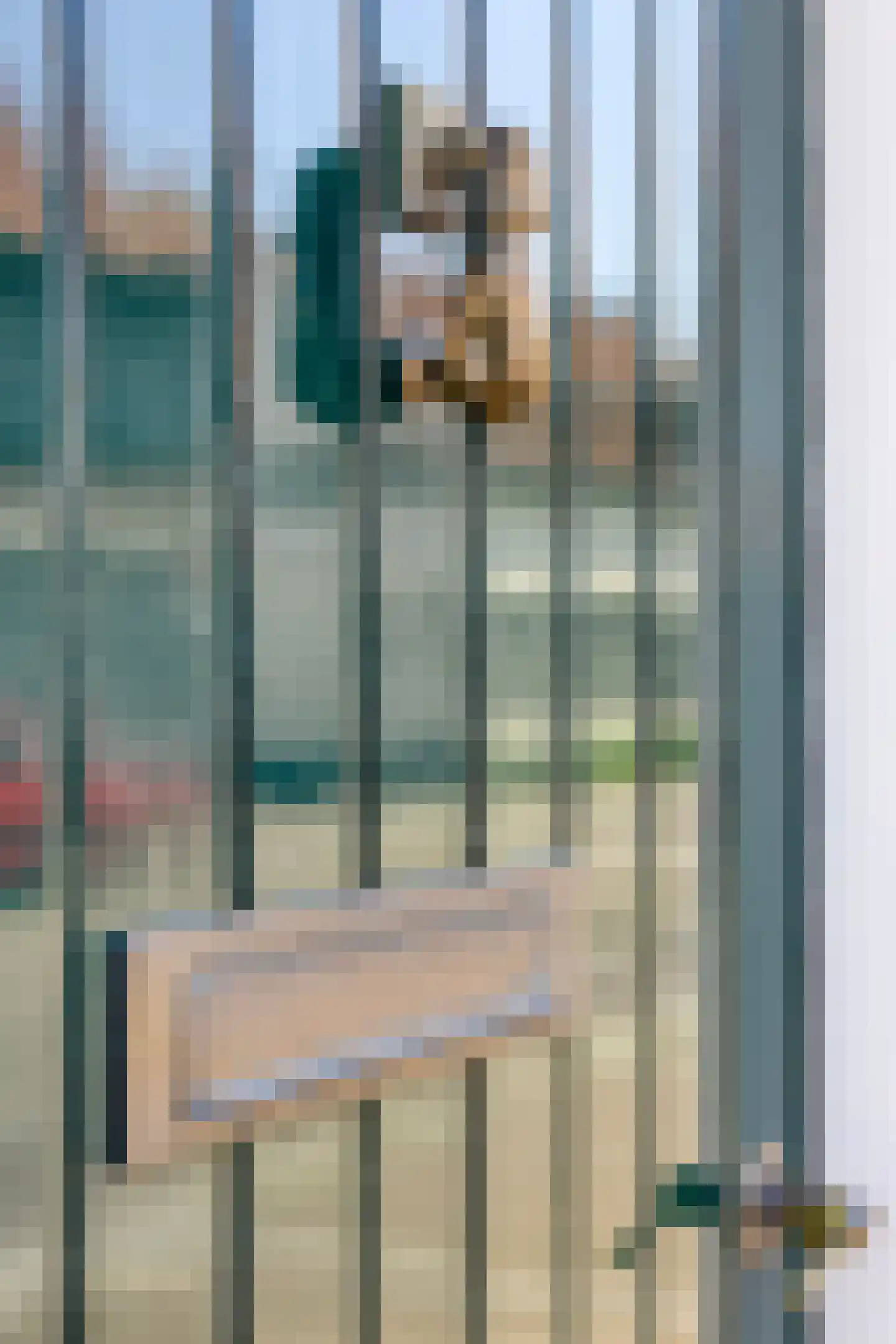 Driessensstraat 30 Neeritter thumbnail 5