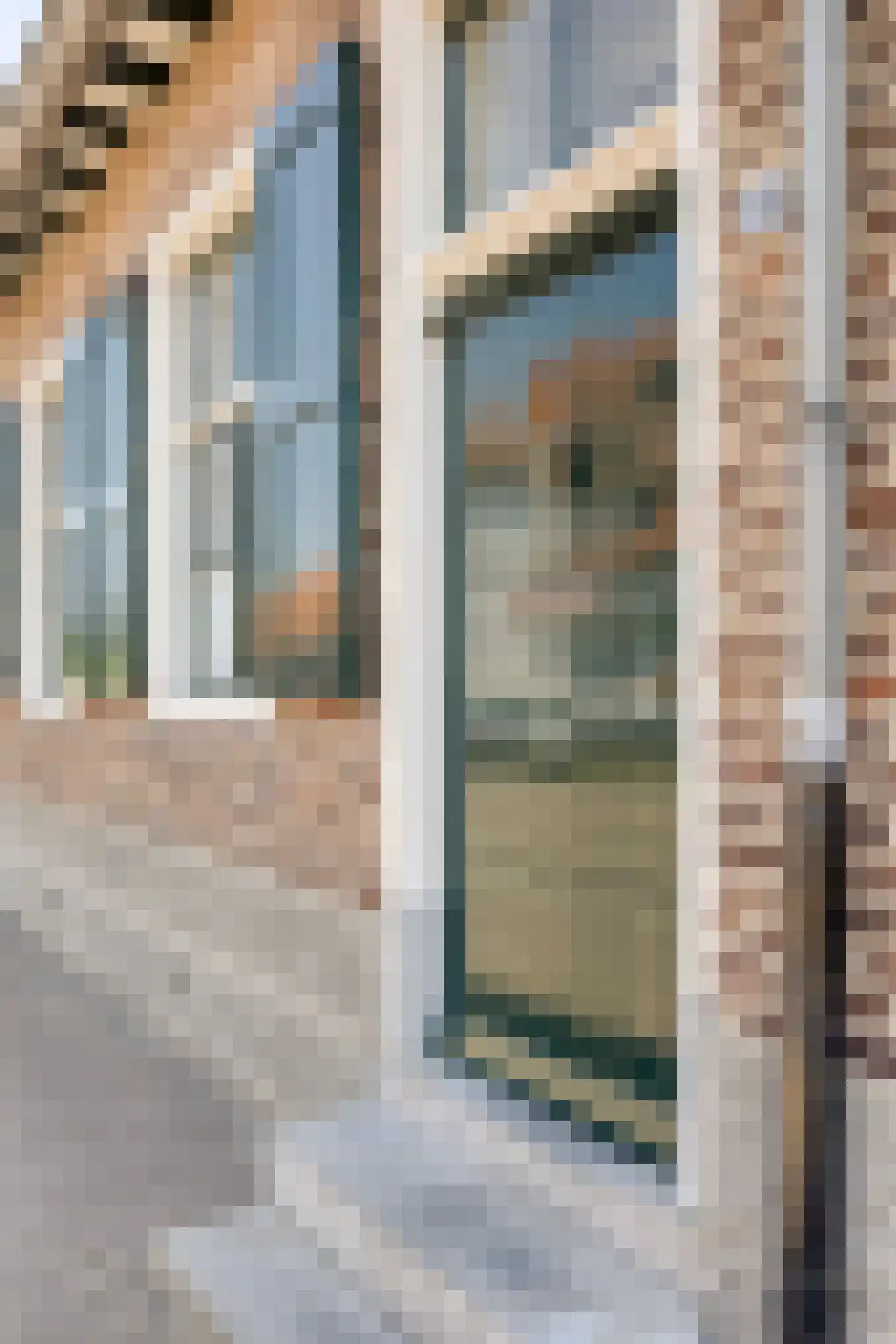 Driessensstraat 30 Neeritter thumbnail 6