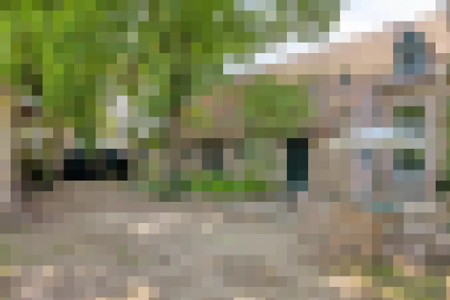 Driessensstraat 30 Neeritter thumbnail 61