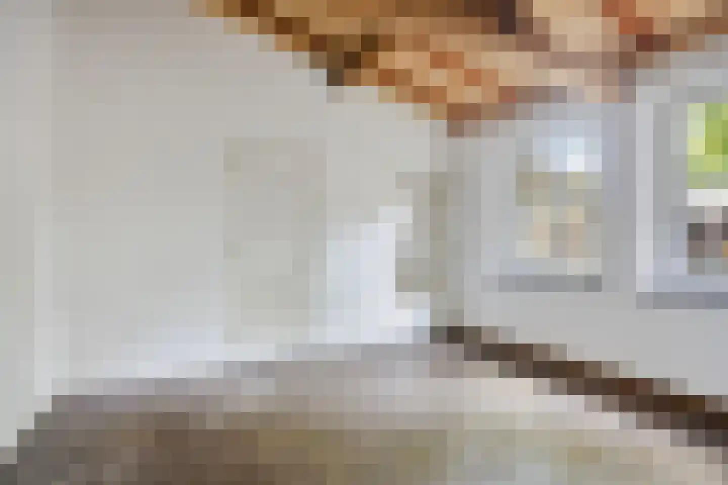 Driessensstraat 30 Neeritter thumbnail 65