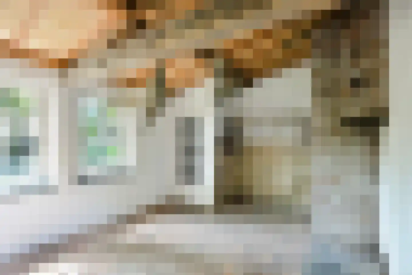 Driessensstraat 30 Neeritter thumbnail 67