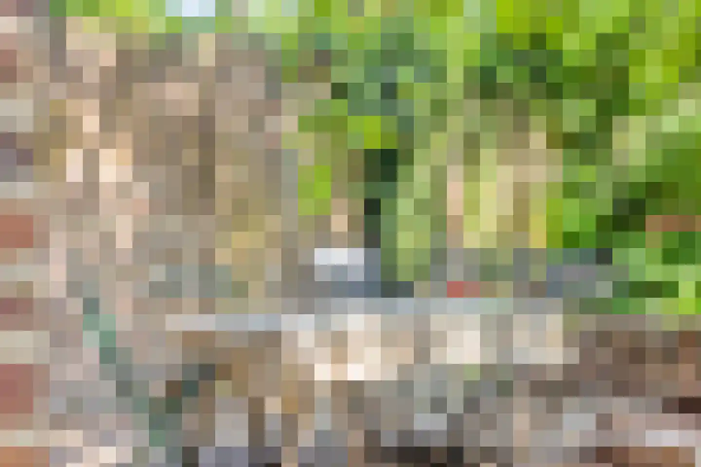Driessensstraat 30 Neeritter thumbnail 71