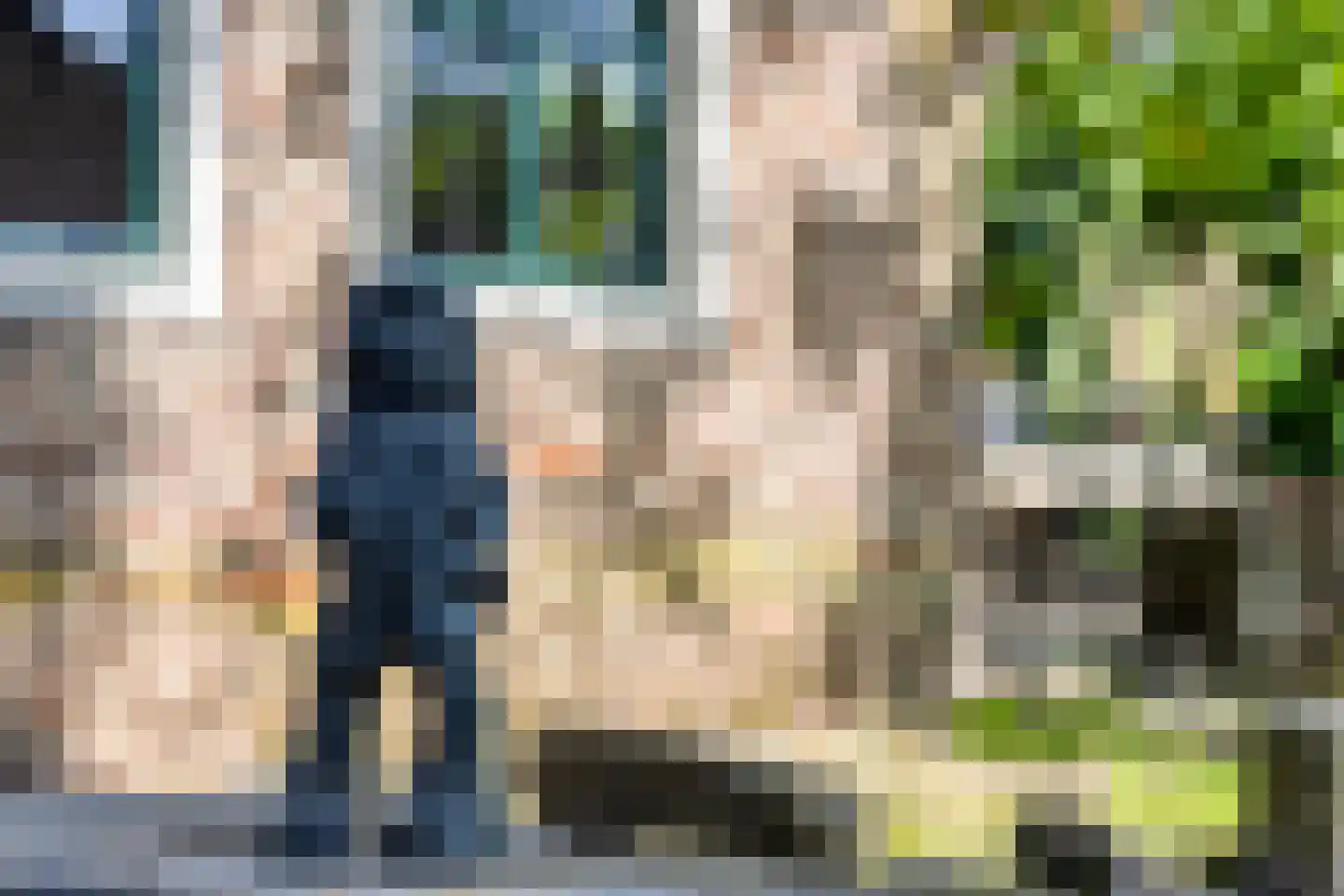 Driessensstraat 30 Neeritter thumbnail 72