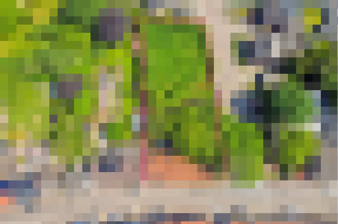 Driessensstraat 30 Neeritter thumbnail 76