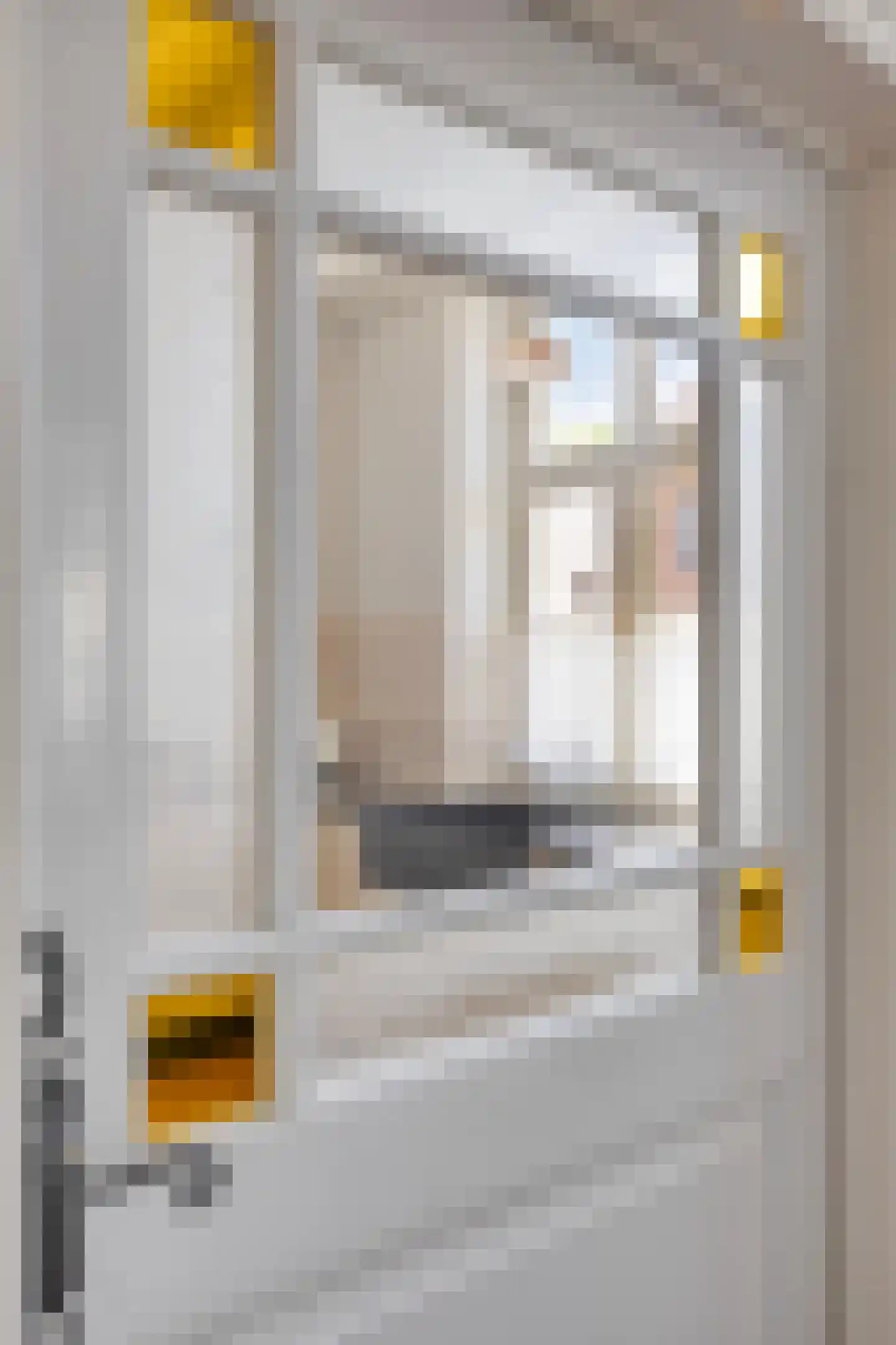 Driessensstraat 30 Neeritter thumbnail 8
