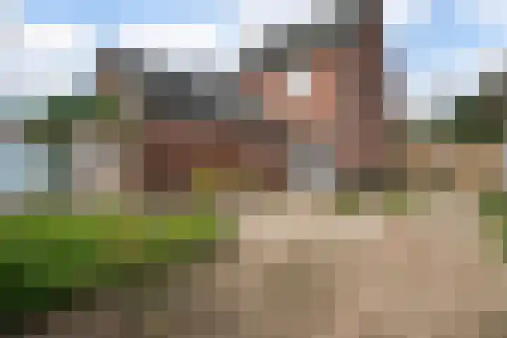 Driessensstraat 50 Neeritter thumbnail 33