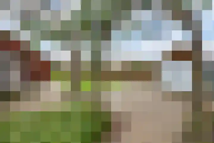 Driessensstraat 50 Neeritter thumbnail 34