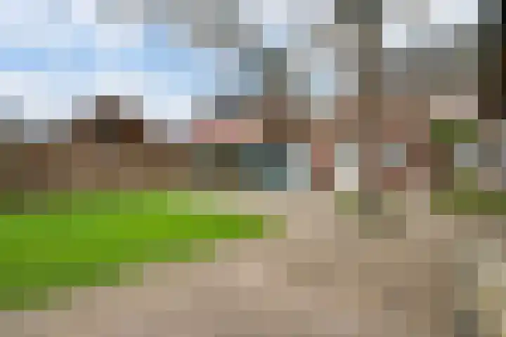 Driessensstraat 50 Neeritter thumbnail 35