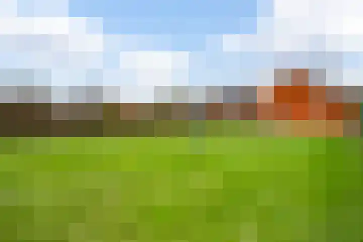 Driessensstraat 50 Neeritter thumbnail 38