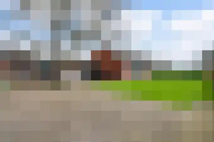 Driessensstraat 50 Neeritter thumbnail 4