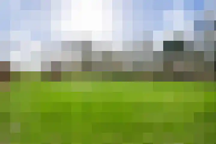 Driessensstraat 50 Neeritter thumbnail 40