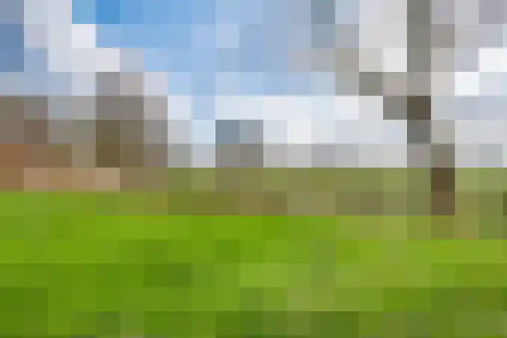 Driessensstraat 50 Neeritter thumbnail 41