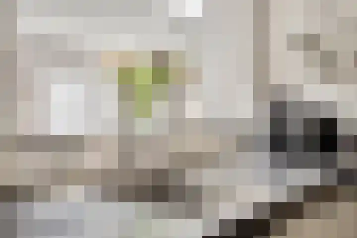 Driessensstraat 52 Neeritter thumbnail 22