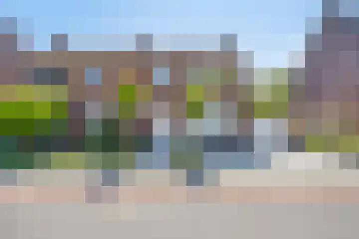 Driessensstraat 52 Neeritter thumbnail 4