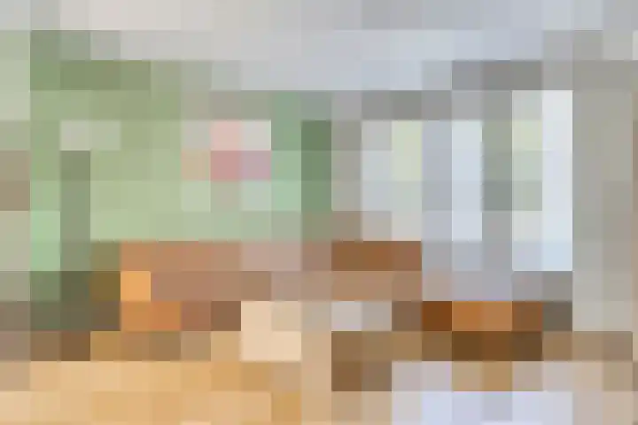 Driessensstraat 52 Neeritter thumbnail 7