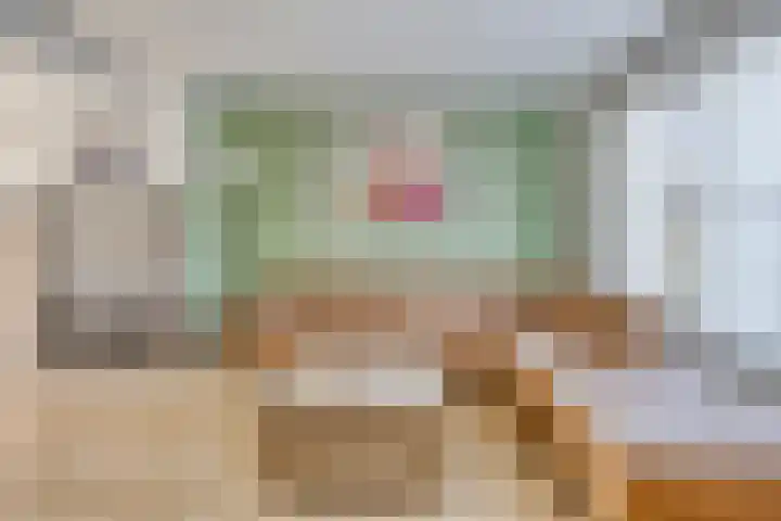Driessensstraat 52 Neeritter thumbnail 8