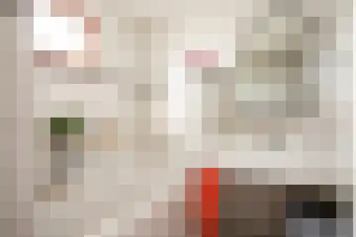 Driessenstraat 12 Landgraaf thumbnail 14