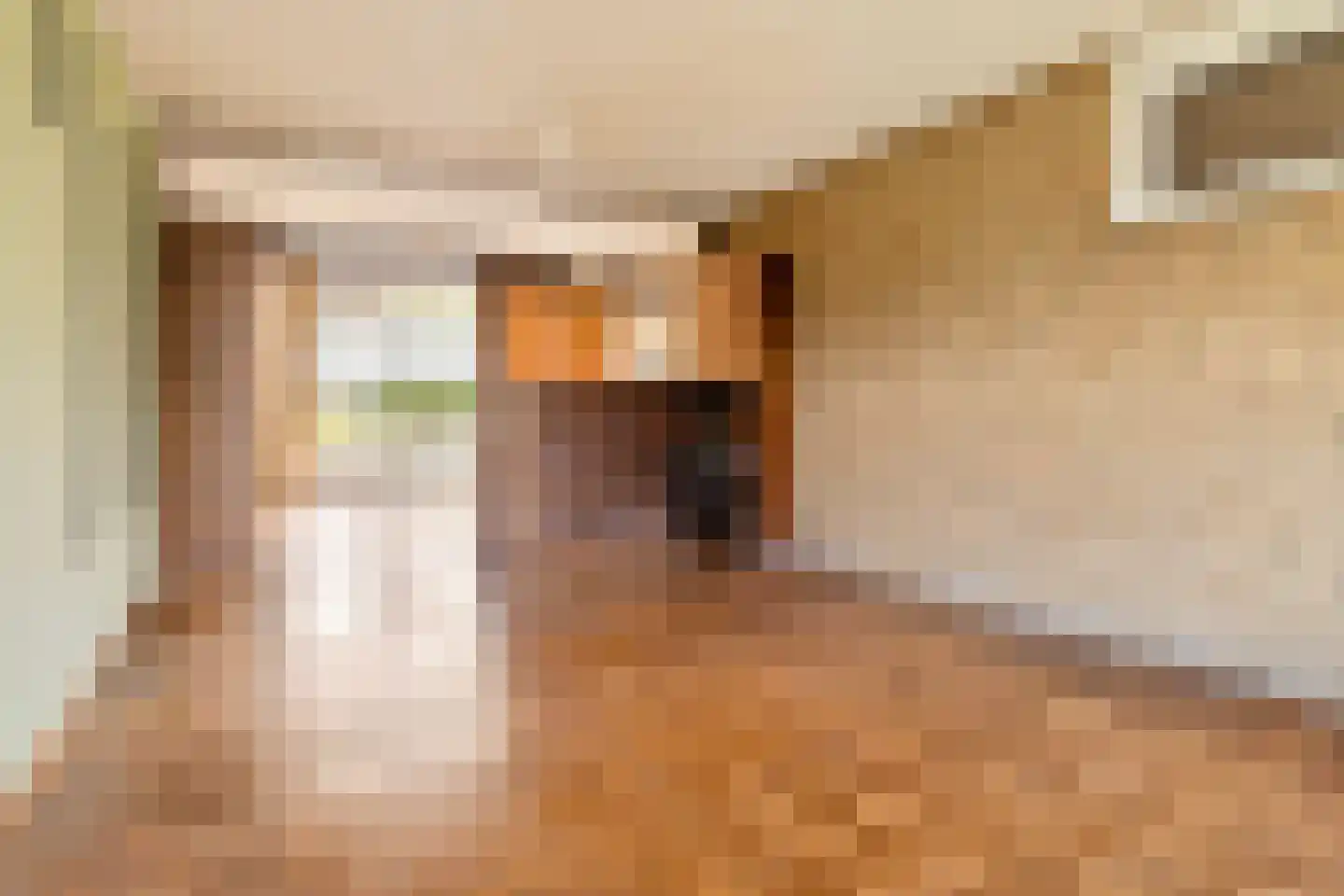 Driessenstraat 3 Landgraaf thumbnail 10