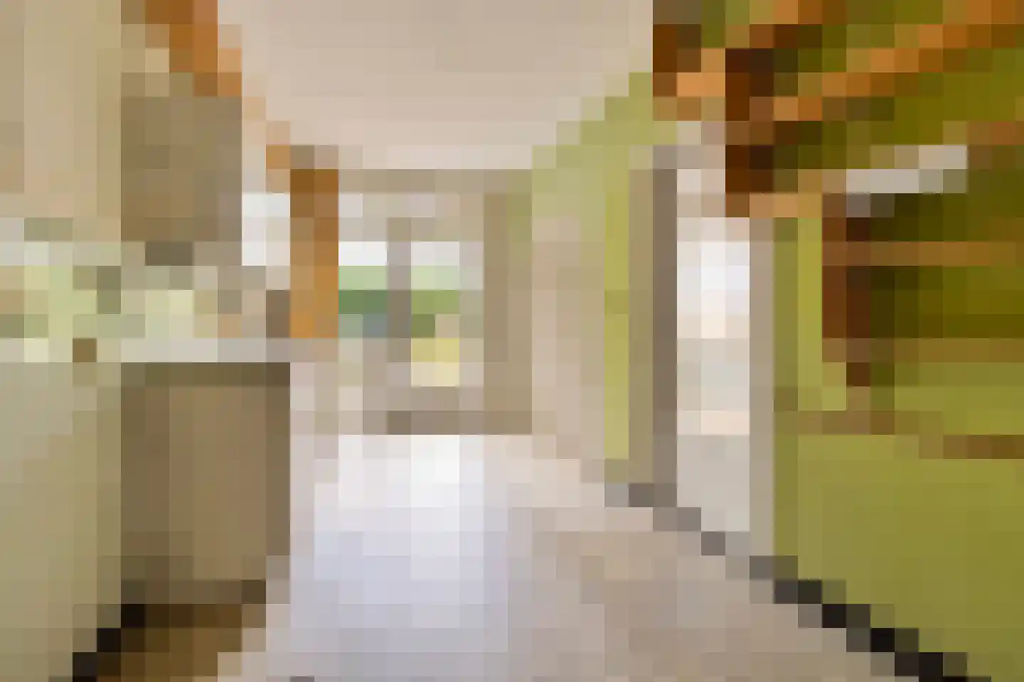 Driessenstraat 3 Landgraaf thumbnail 14