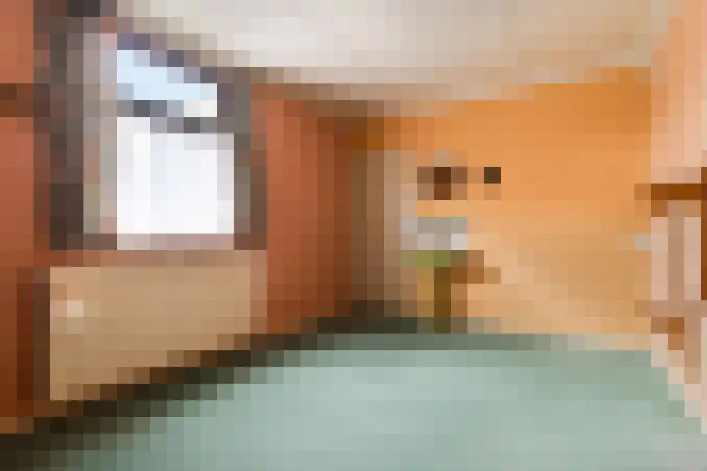 Driessenstraat 3 Landgraaf thumbnail 18