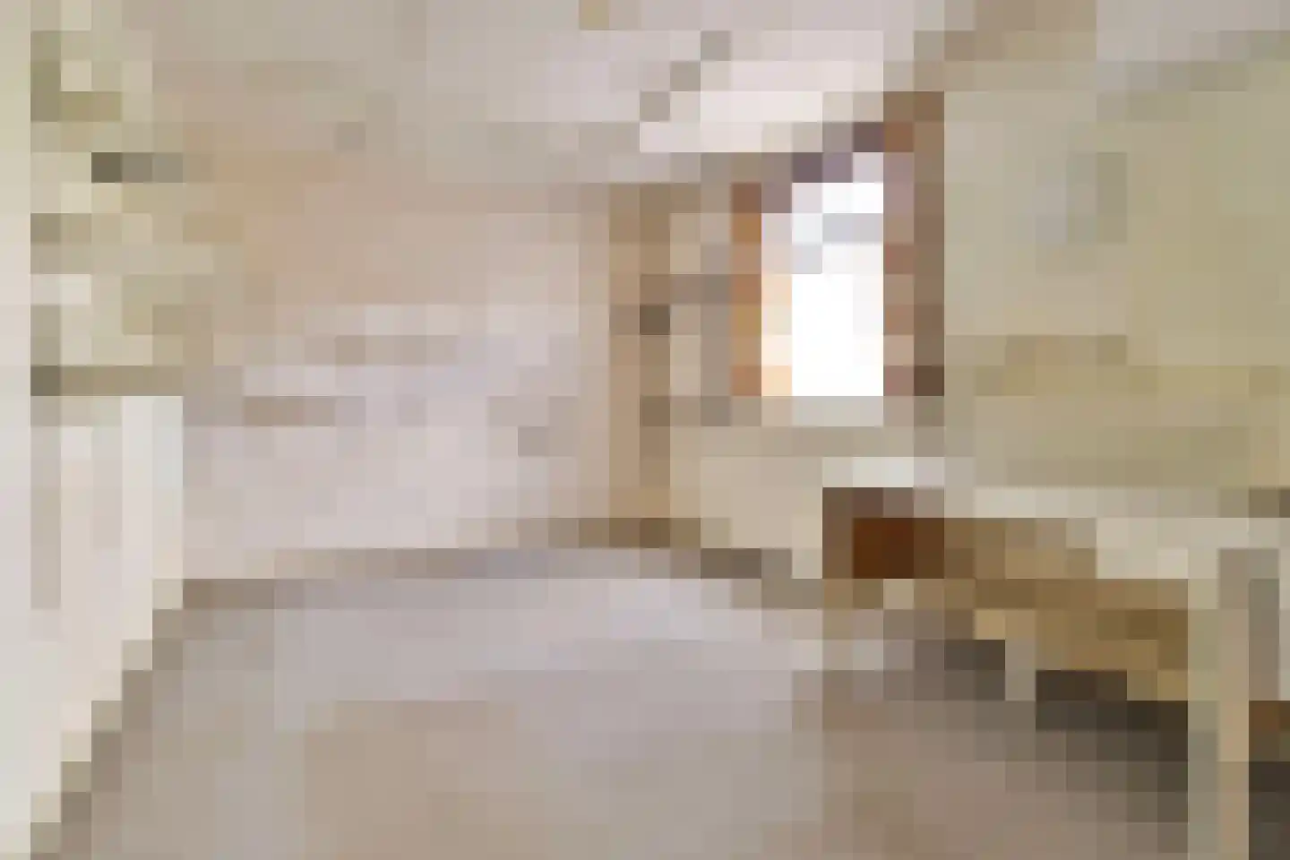 Driessenstraat 3 Landgraaf thumbnail 21