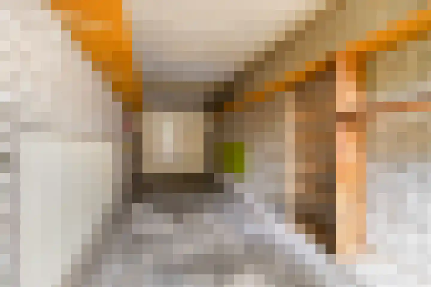 Driessenstraat 3 Landgraaf thumbnail 25