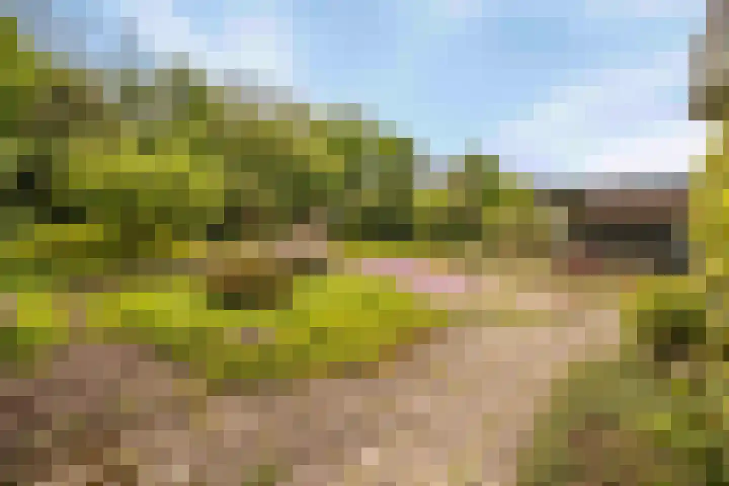 Driessenstraat 3 Landgraaf thumbnail 28